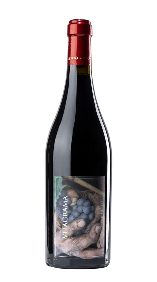 Vitagrama' Casa Caterina 2009