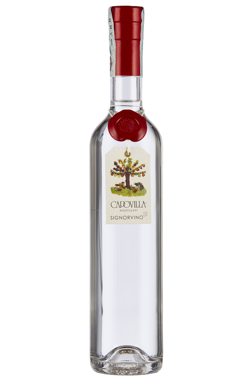 Grappa di Valpolicella