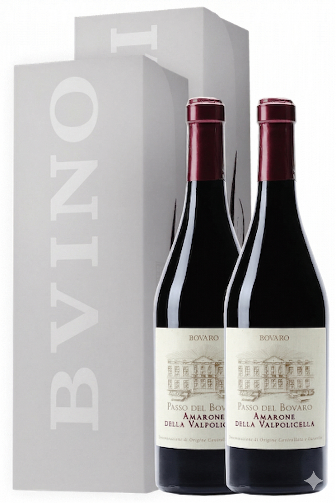 2 Amarone Della Valpolicella Classico DOCG Passo Del Bovaro 2020 (2 Special Box)