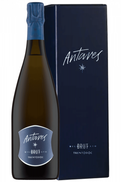Trentodoc Brut Antares 2019 Cantina Toblino (Magnum Con Astuccio)
