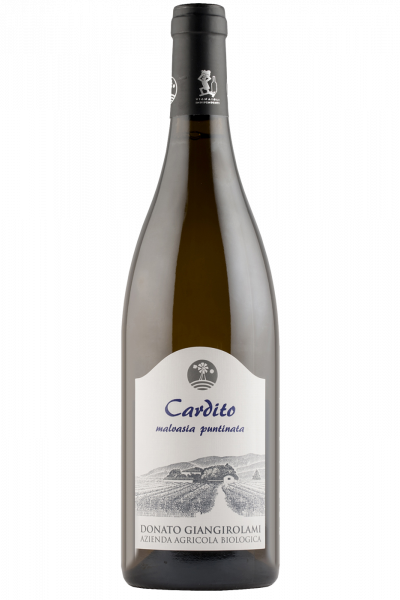 Malvasia Puntinata Cardito 2023 Donato Giangirolami