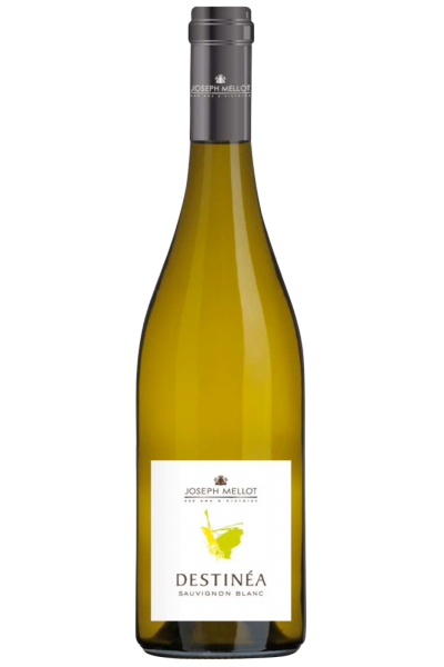 Sauvignon Blanc Destin+®a 2022 Joseph Mellot