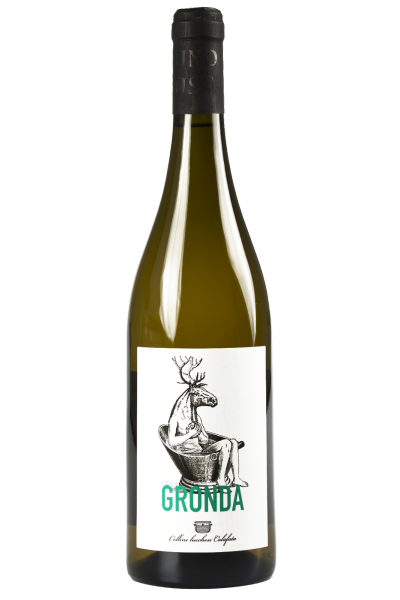 Colline Lucchesi Bianco Levato Di Gronda 2021 Agricola Calafata