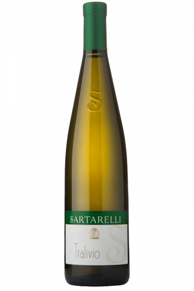 Verdicchio Dei Castelli Di Jesi DOC Classico Superiore Tralivio 2020 Sartarelli