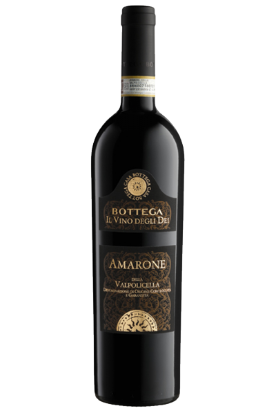 Amarone Della Valpolicella DOCG 2017 Bottega