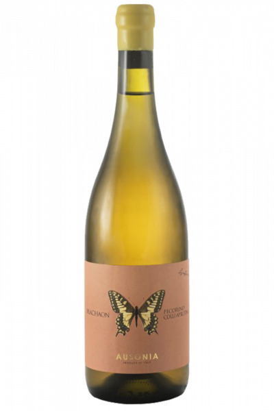 Pecorino Machaon Anfora 2022 Ausonia