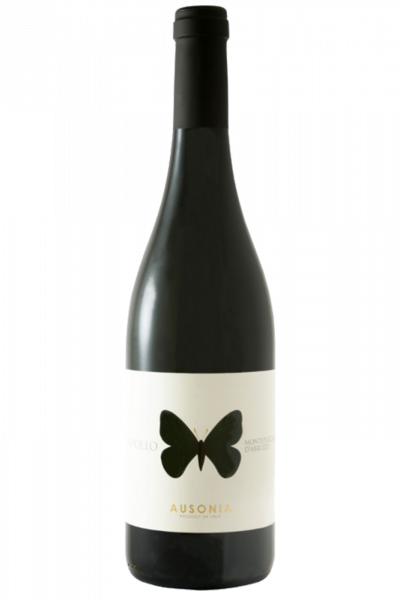 Montepulciano D'Abruzzo Colline Teramane DOCG Apollo 2019 Ausonia
