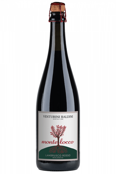 Lambrusco Montelocco 2020 Venturini Baldini