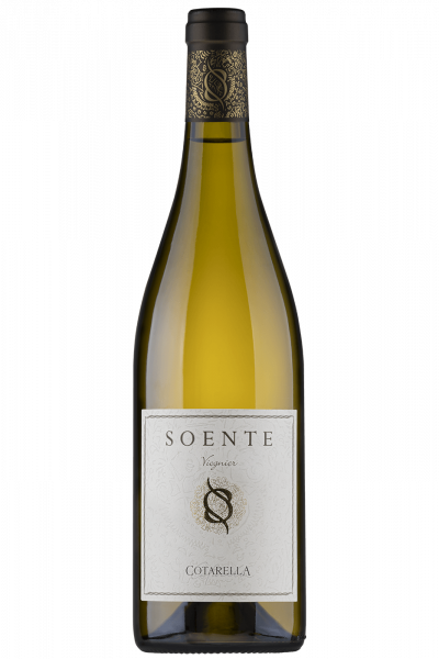 Soente 2023 Cotarella