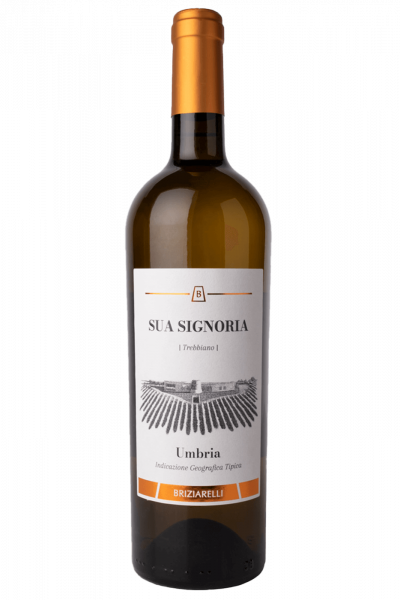Trebbiano Sua Signoria 2022 Cantine Briziarelli