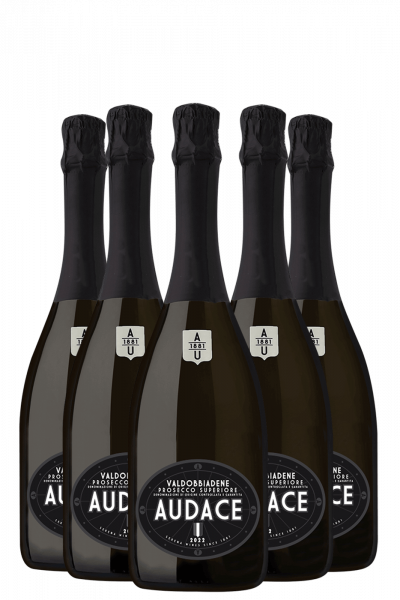 6 Bottiglie Prosecco Di Valdobbiadene Superiore DOCG Extra Dry Audace Millesimato