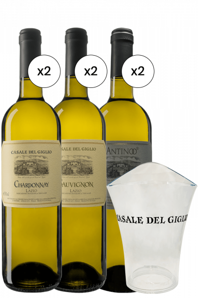2 Chardonnay 2023 + 2 Sauvignon 2023 + 2 Antinoo 2021 Casale Del Giglio + OMAGGIO 1 Glacette Casale Del Giglio