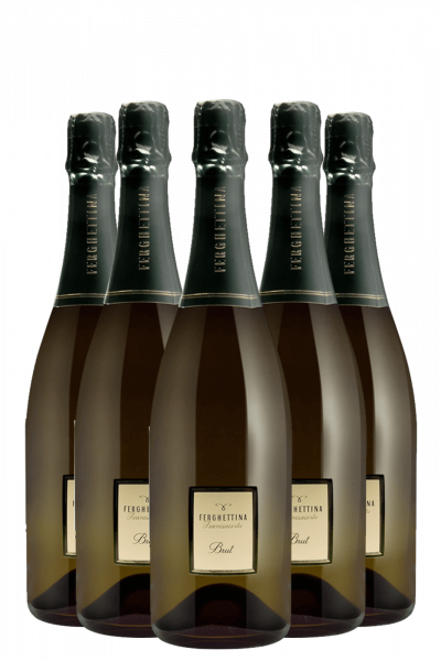 6 Bottiglie Franciacorta Brut DOCG Ferghettina