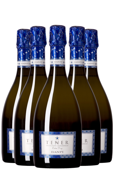 6 Bottiglie Tener Extra Dry Banfi