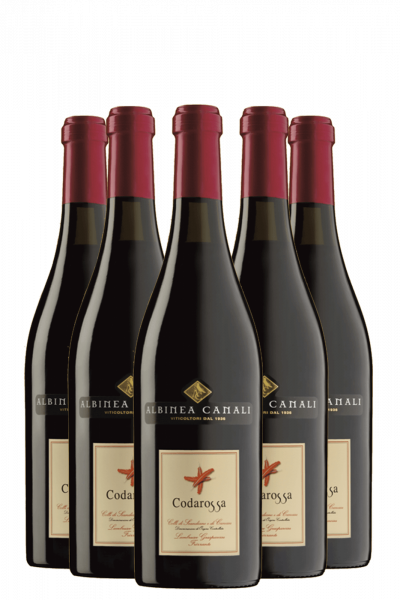 6 Bottiglie Colli Di Scandiano E Canossa DOC Lambrusco Amabile Codarossa Albinea Canali