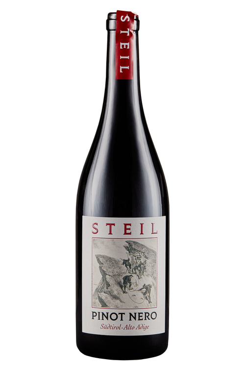 Alto Adige Pinot Nero Steil