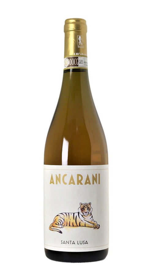 Albana Secco 'Santa Lusa' Ancarani 2021