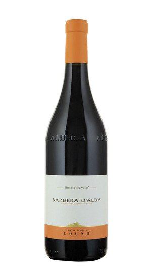 Barbera d'Alba 'Bricco dei Merli' Elvio Cogno 2021