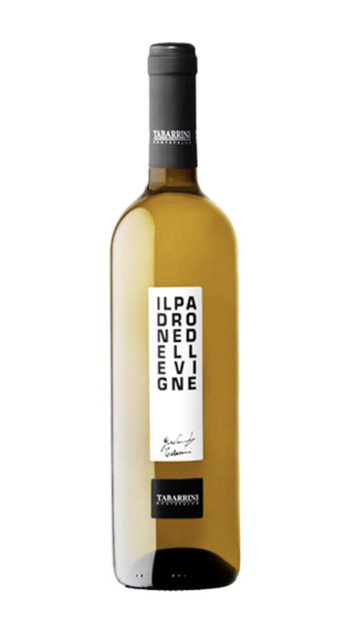 Bianco 'Il Padrone delle Vigne' Tabarrini 2022