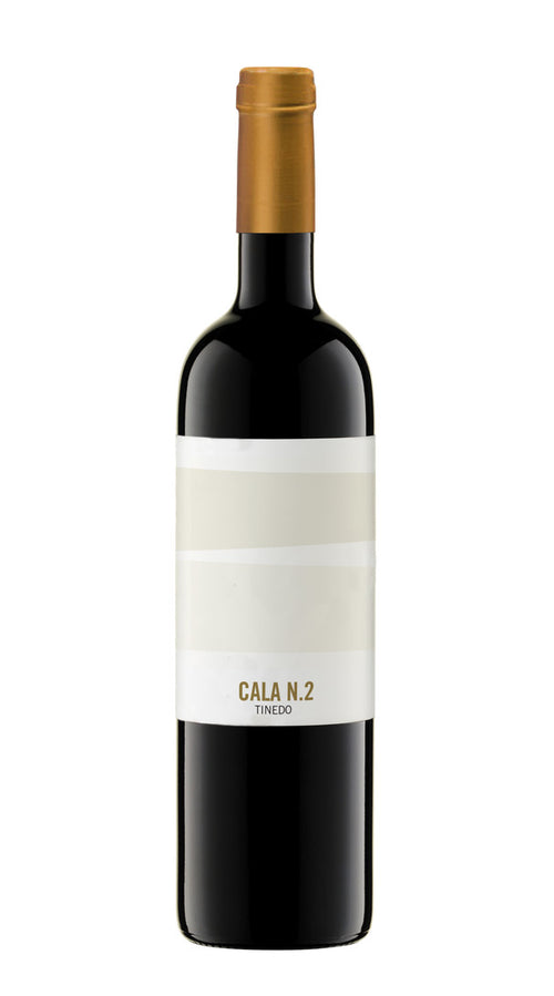 CALA N° 2' Tinedo 2019