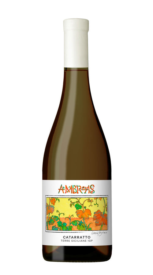 Catarratto 'Ambras' Barracco 2021