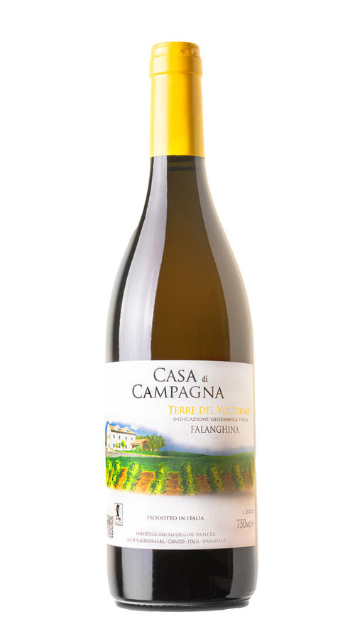 Falanghina 'Casa di Campagna' Alepa 2021