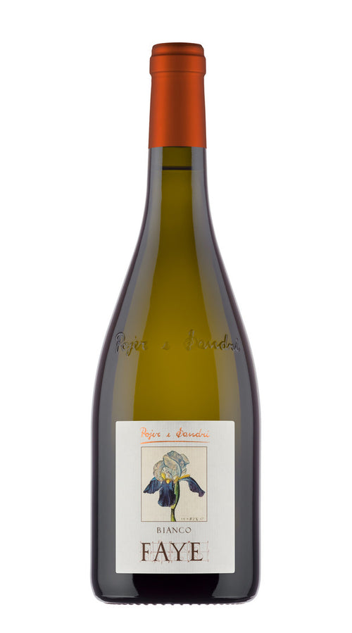 Faye Bianco Pojer e Sandri 2019