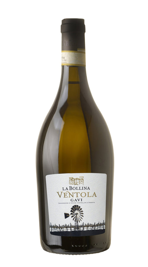 Gavi 'Ventola' La Bollina 2021