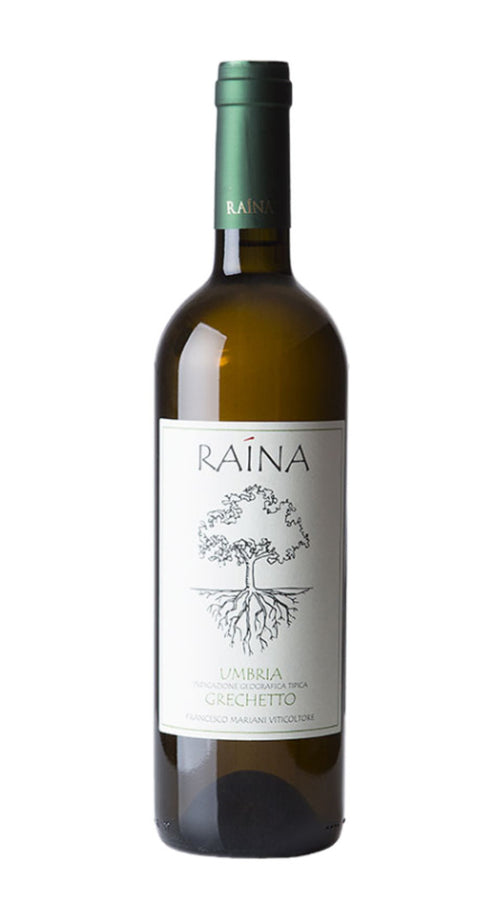 Grechetto Raina 2022