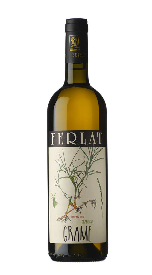 Malvasia 'Grame' Ferlat 2022