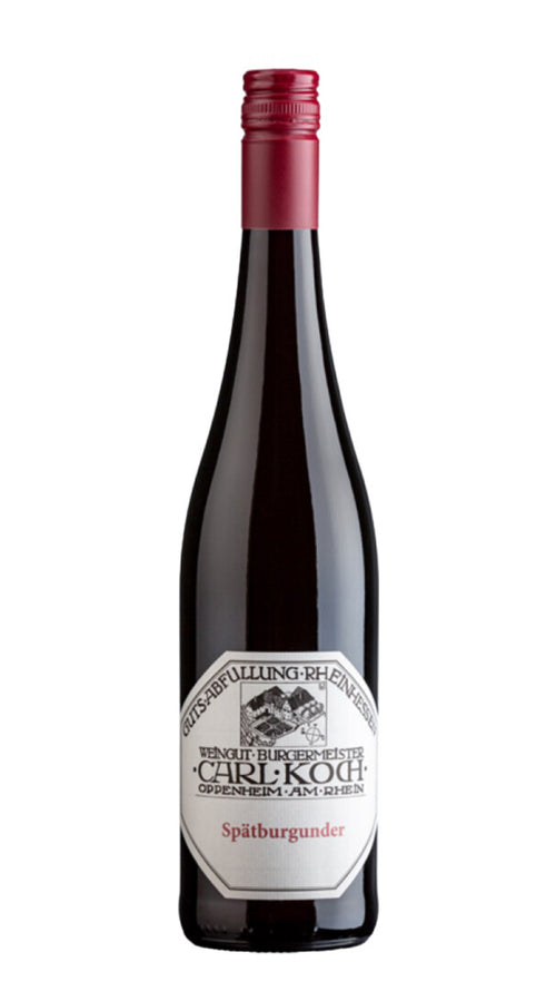 Pinot Nero Guldenmorgen Carl Koch 2021