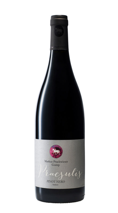 Pinot Nero 'Praesulis' Gumphof 2021