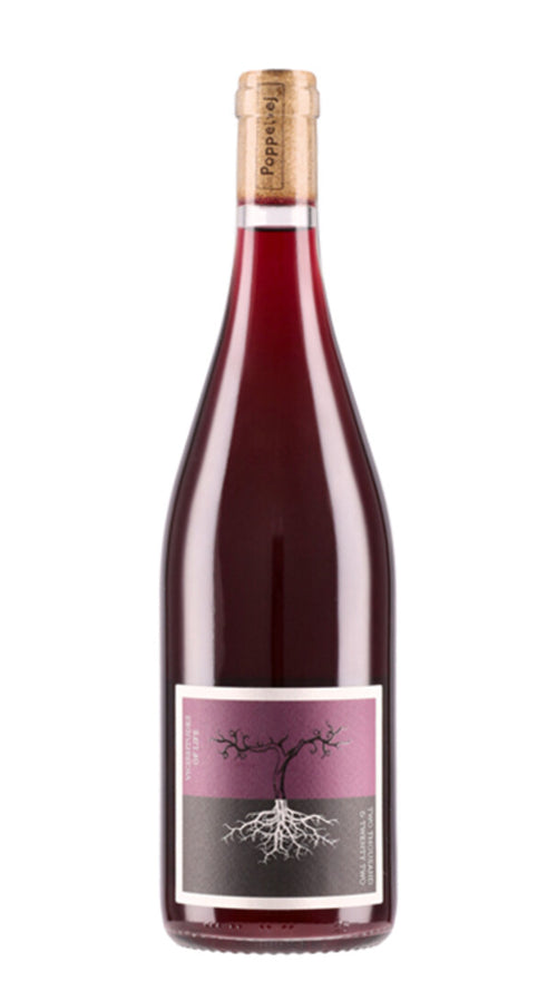 Pinot Noir 'Vicissitudes of Life' Poppelvej 2022