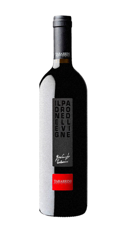Rosso 'Il Padrone delle Vigne' Tabarrini 2019