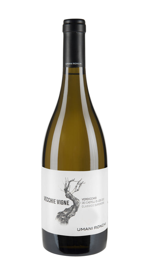 Verdicchio Castelli di Jesi Superiore 'Vecchie Vigne' Umani Ronchi 2021