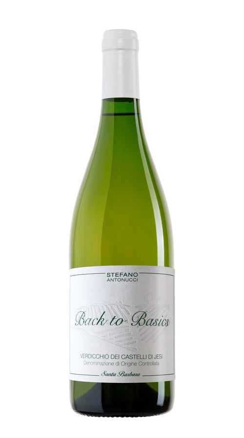 Verdicchio dei Castelli di Jesi 'Back to Basic' Santa Barbara 2022