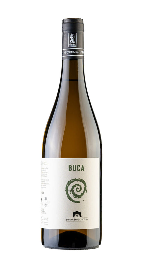 Verdicchio dei Castelli di Jesi Classico 'Buca della Marcona' Tenuta San Marcello 2022