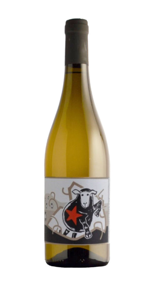 Verdicchio dei Castelli di Jesi Classico Superiore 'Saltatempo' La Marca di San Michele 2022