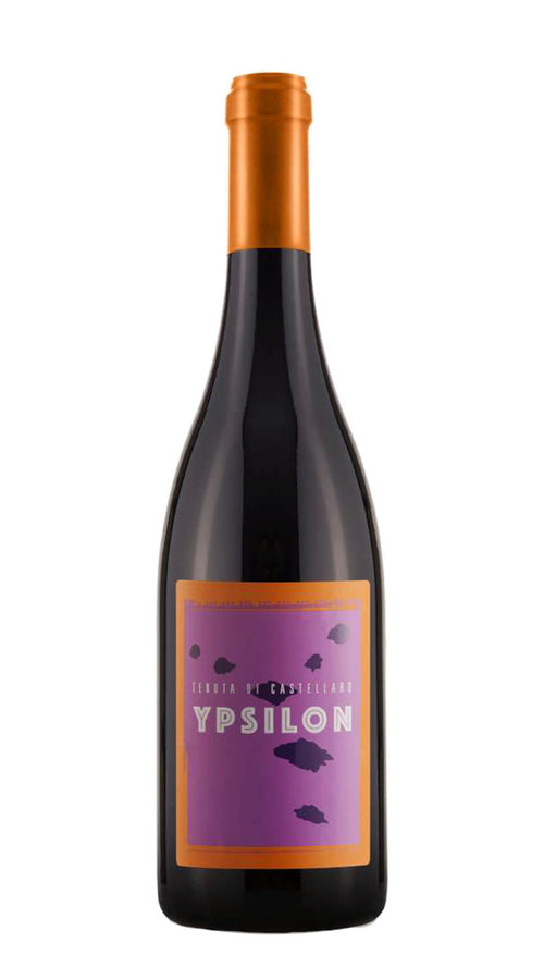 Ypsilon' Tenuta di Castellaro 2021